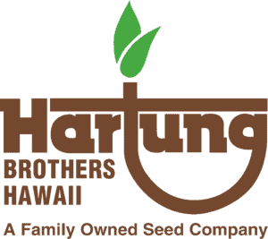 Hurting Brothers logo
