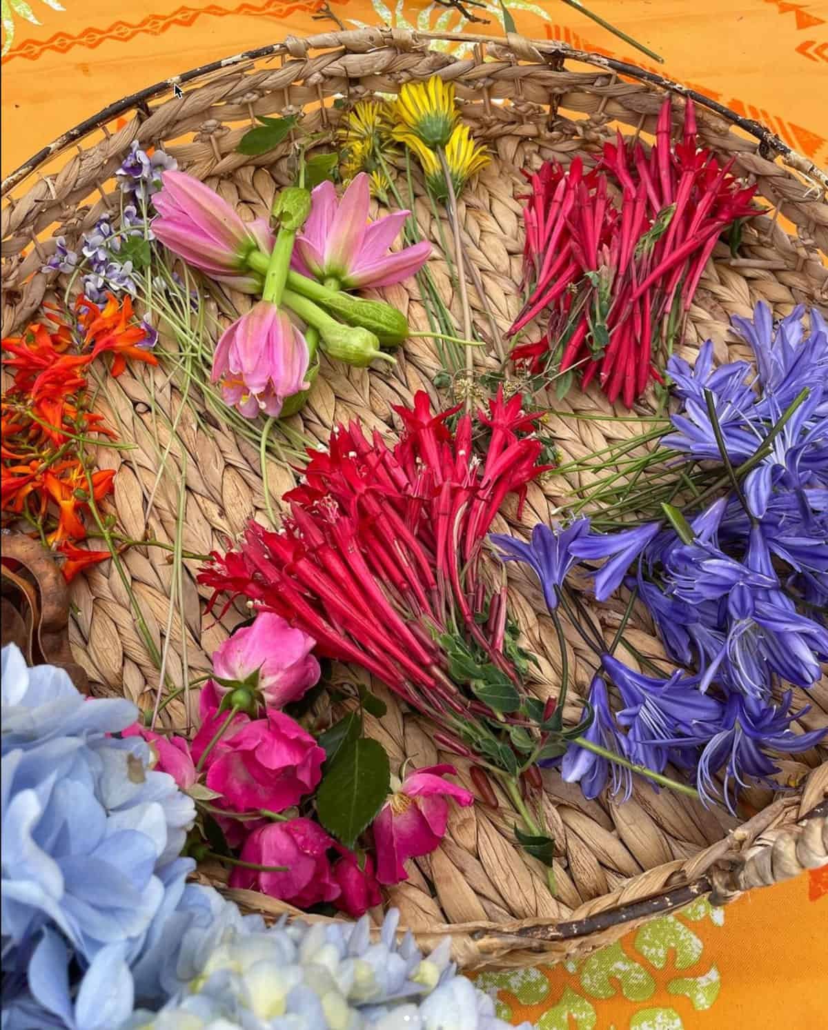 Hands-on lei po’o demonstration