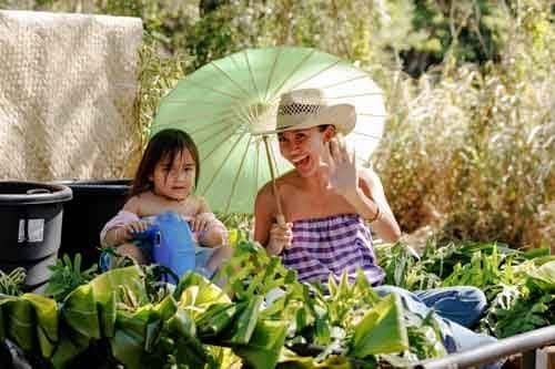 Annual Park Celebration