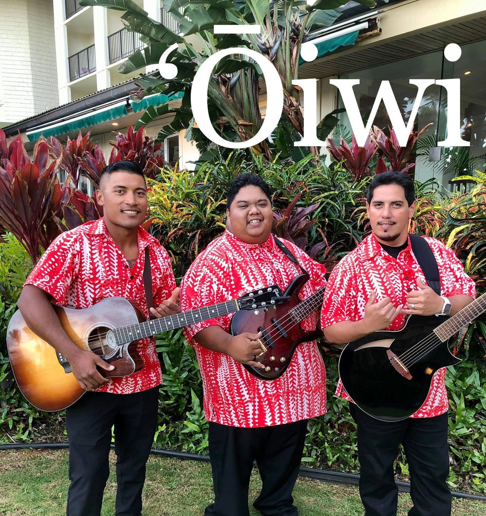 Pick of Oiwi band members: L-R. Bronson Aiwohi, Kawaiola Yaris, John Mahi